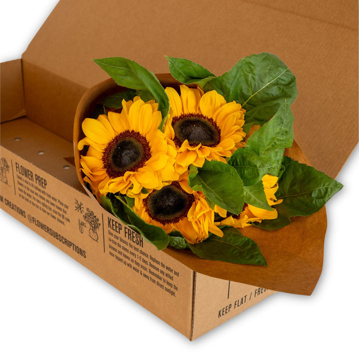 Seasonal On Mass Subscription Box