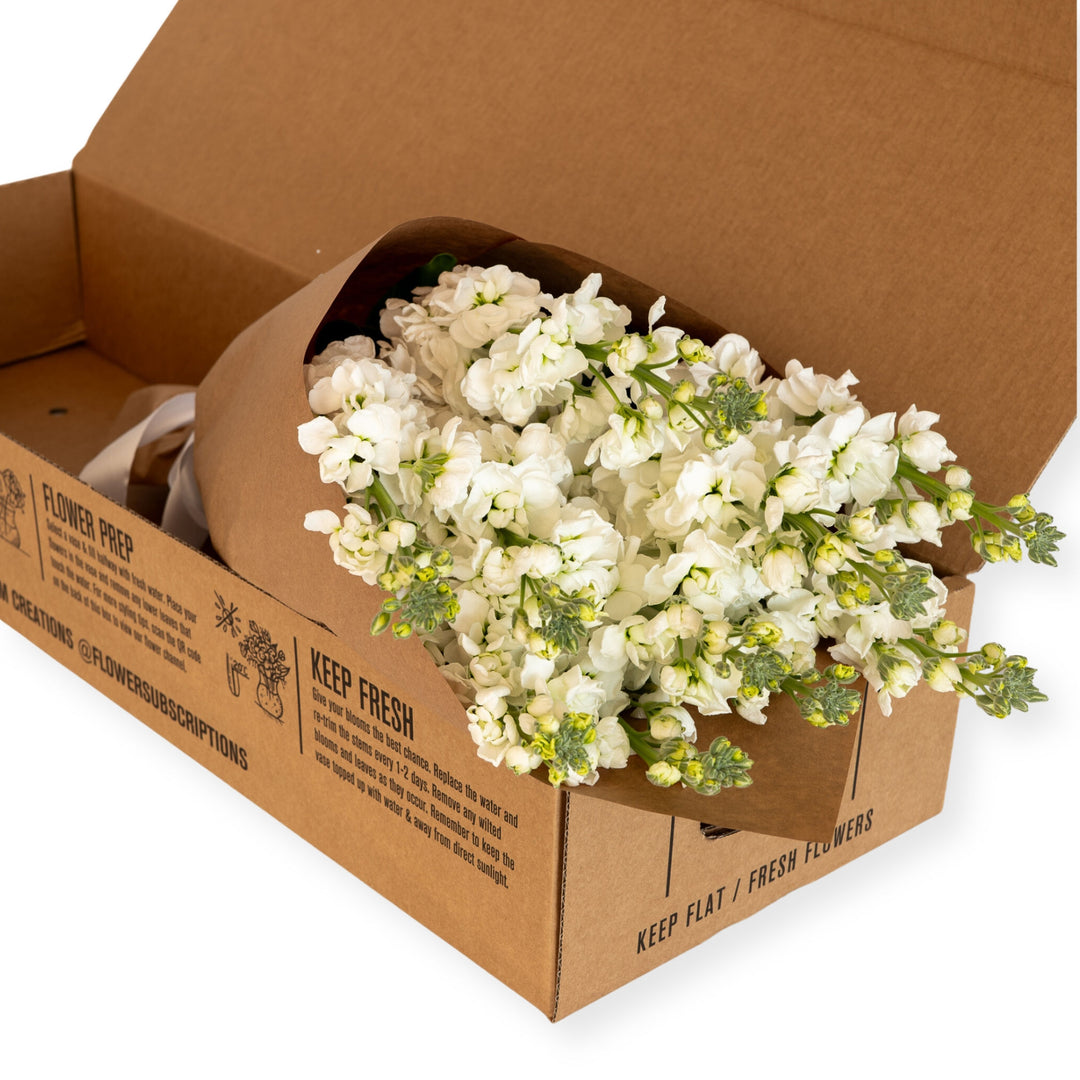 Seasonal On Mass Subscription Box