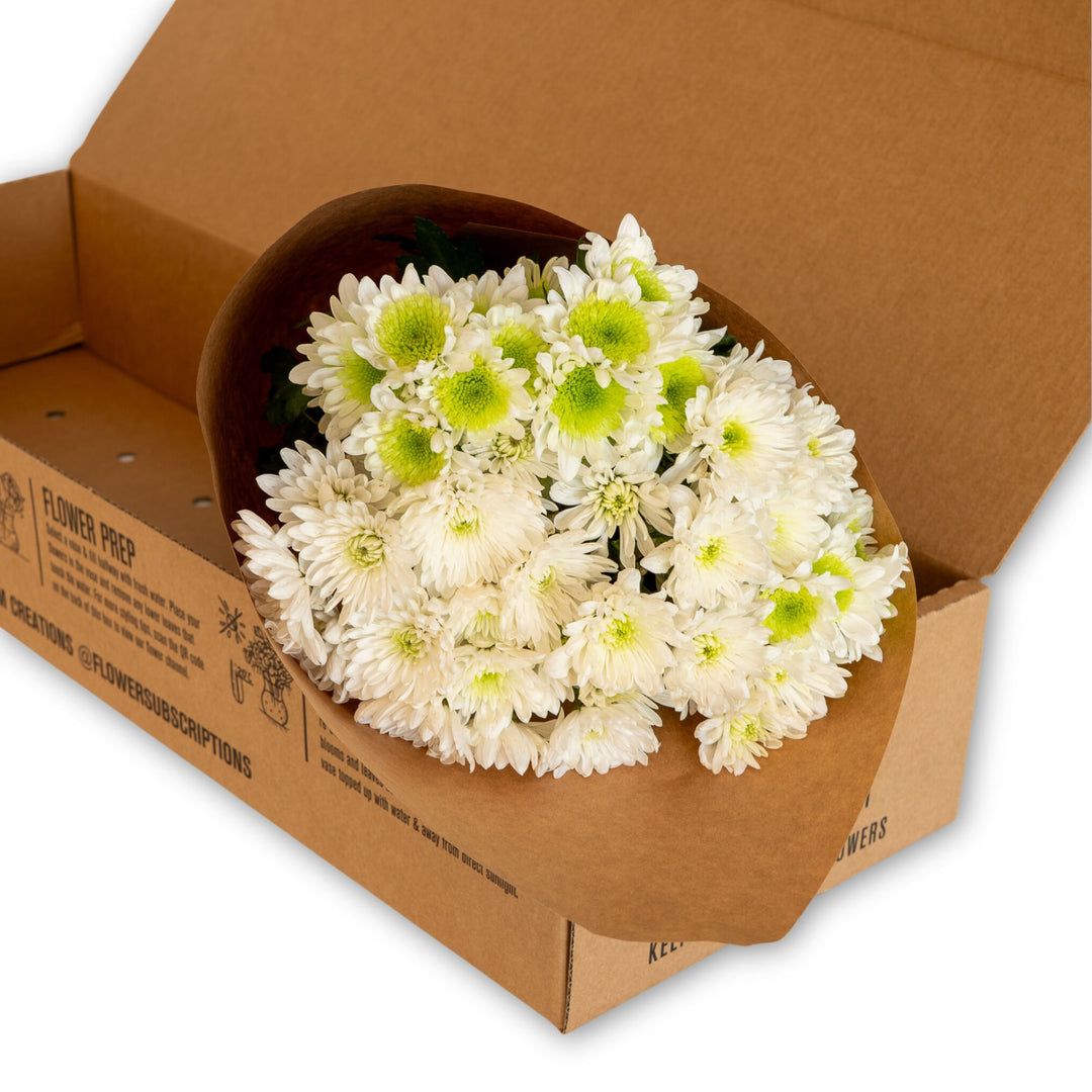 Seasonal On Mass Subscription Box