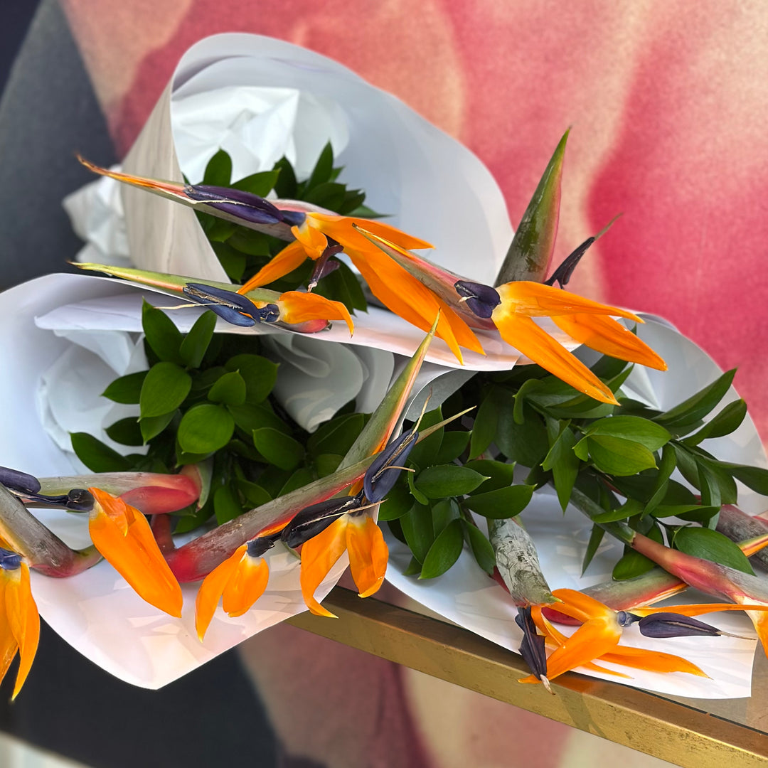 Bouquet of the week