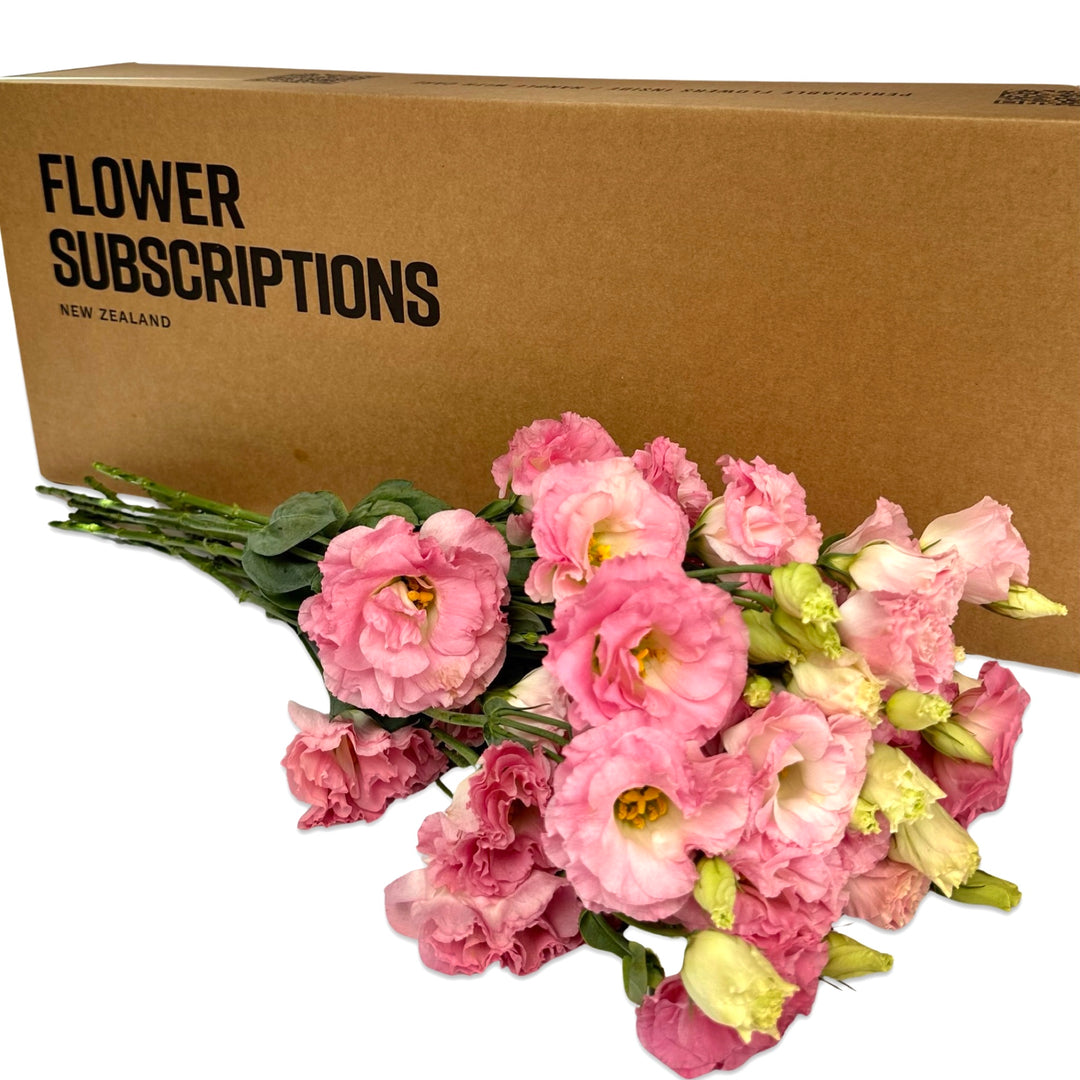 Seasonal On Mass Subscription Box