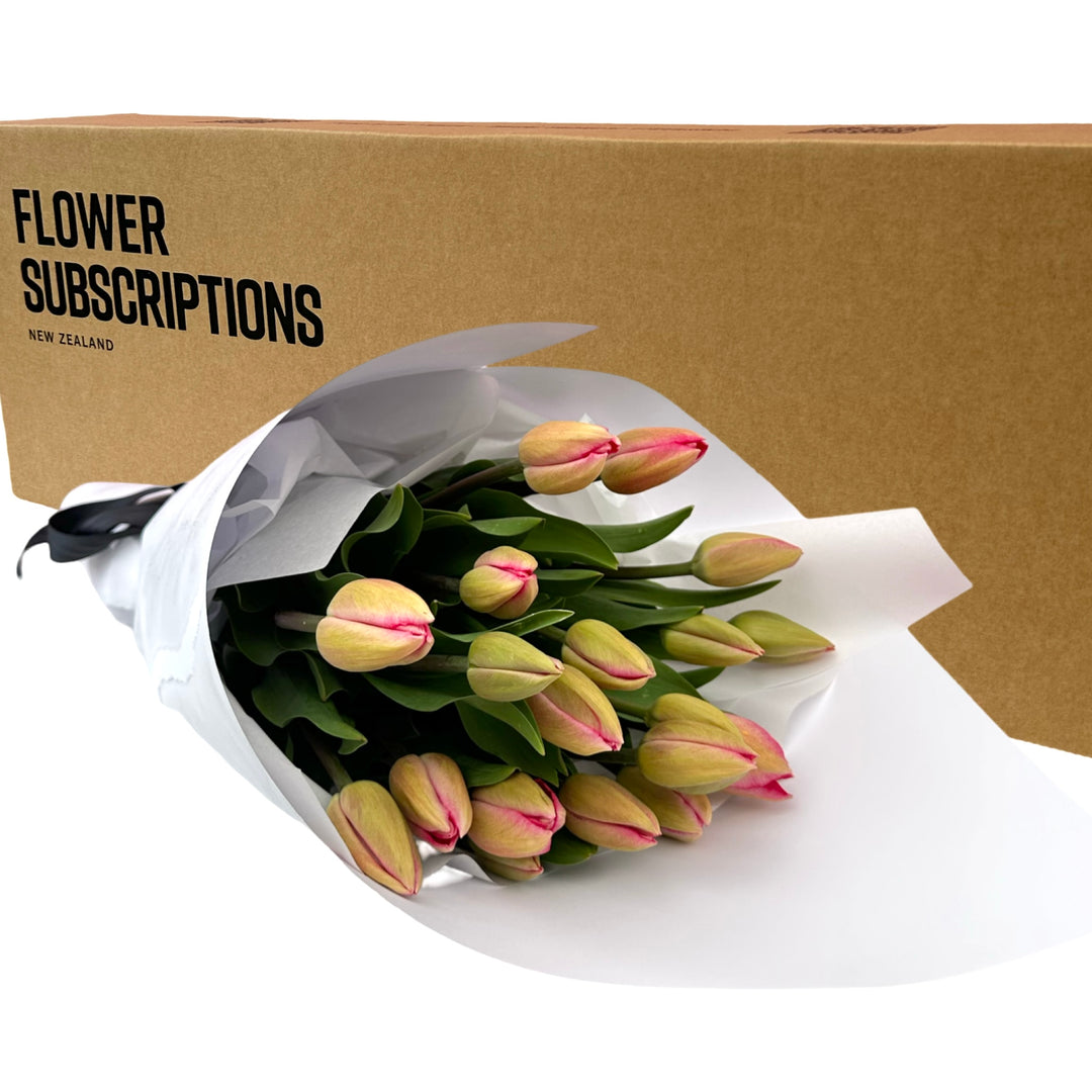 Seasonal Tulips Subscription Box