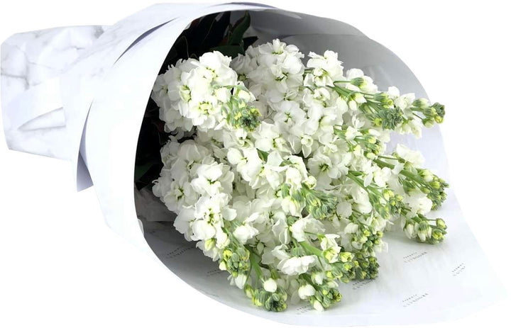 Seasonal One Flower On Mass