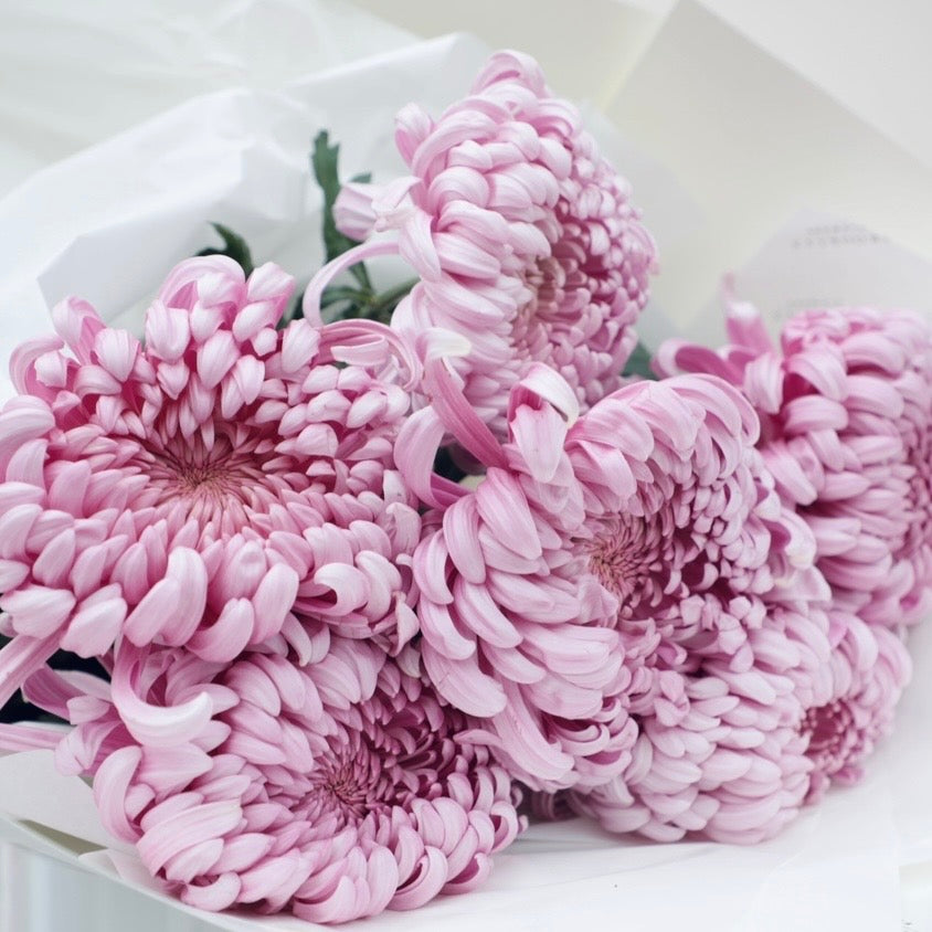 Corporate Blooms & Gifts