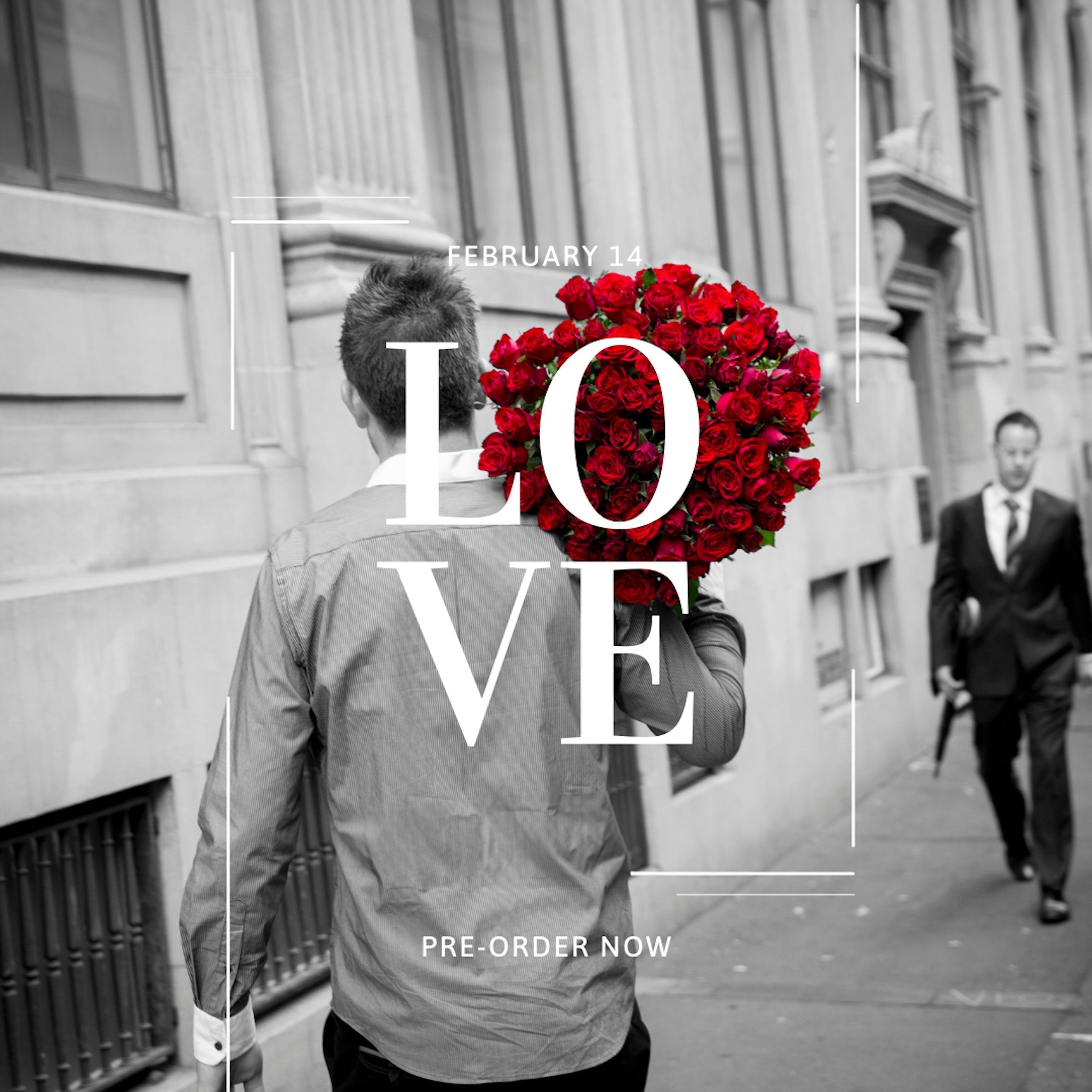 Valentine's Day Collection 2026