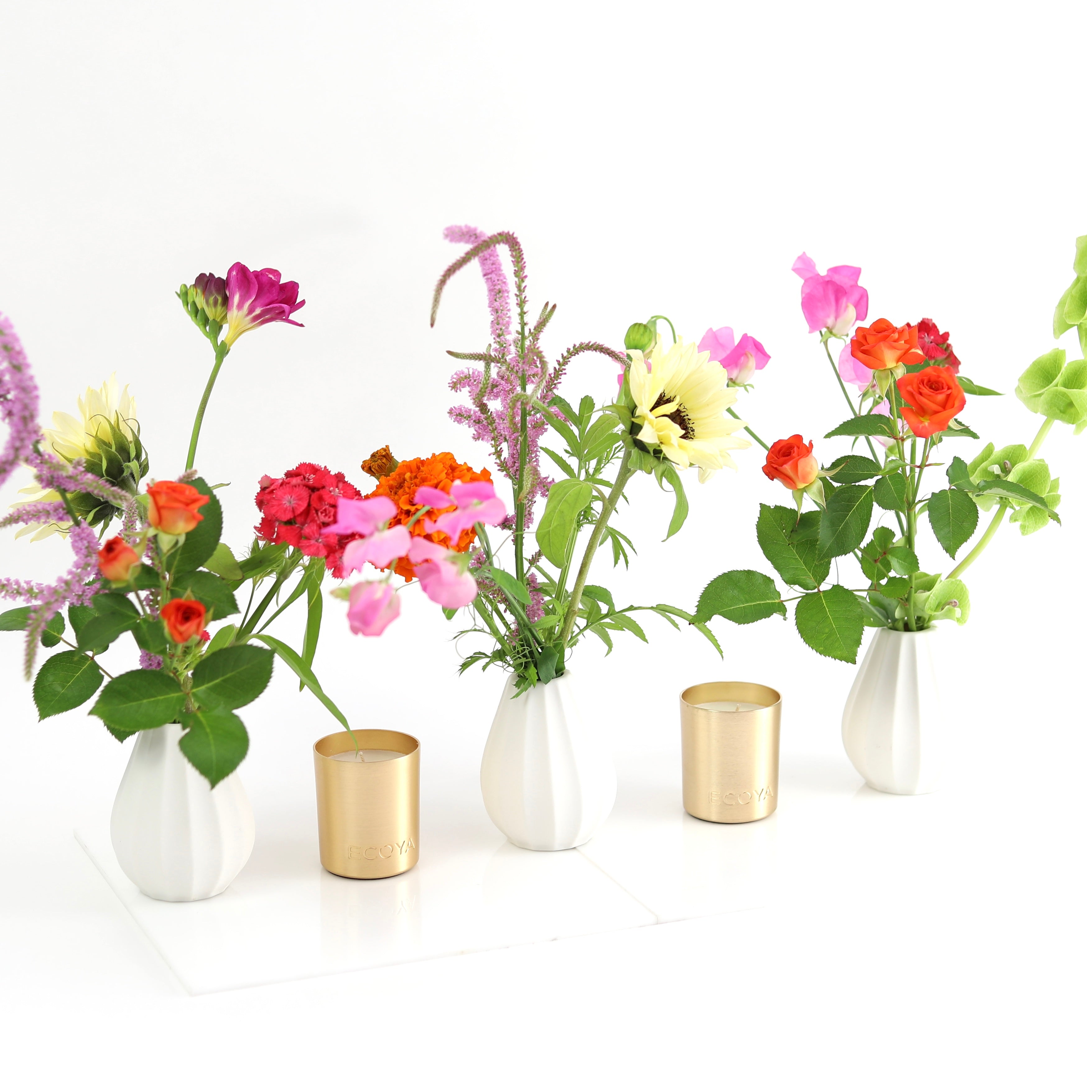 Christmas Collection 2025