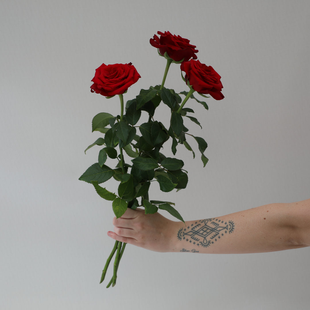 3 stem red rose
