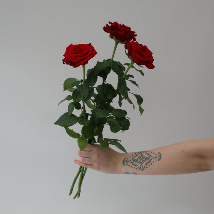 3 stem red rose