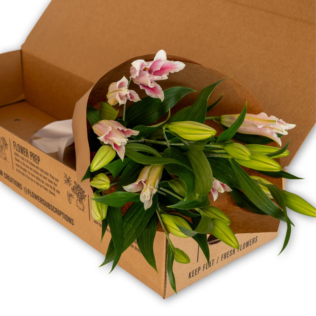 One-off Pink Lily Box