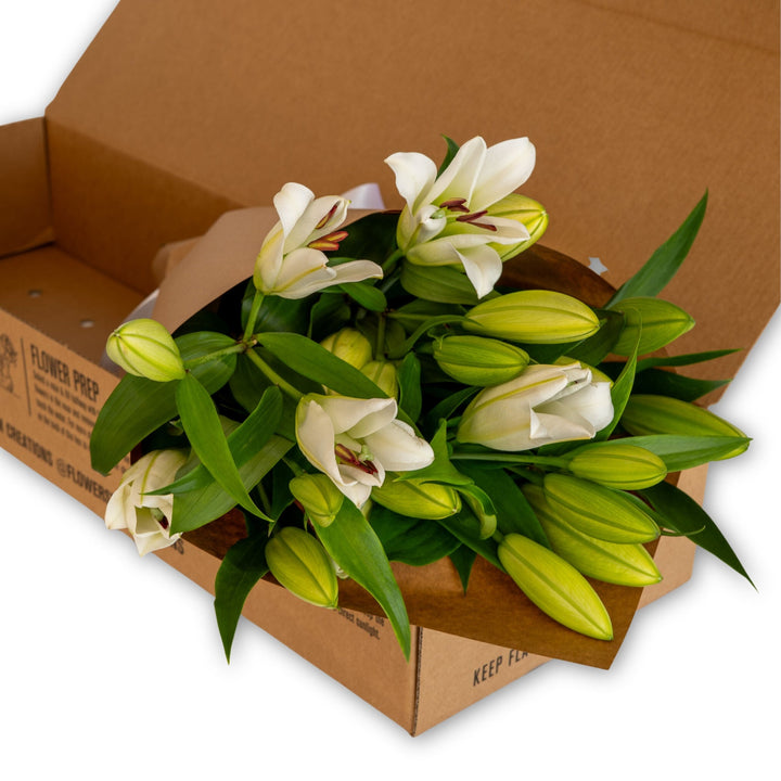 One-off White Lily Box