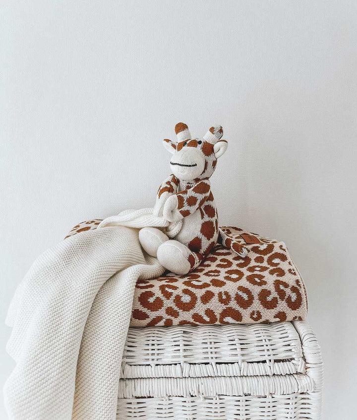 Welcome Baby Gift Package - Brooklyn Flowers