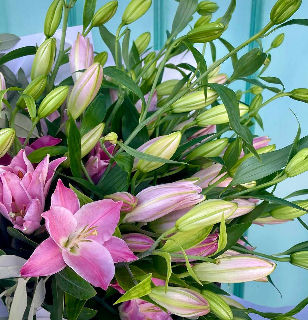 Scented Lily's On Masse