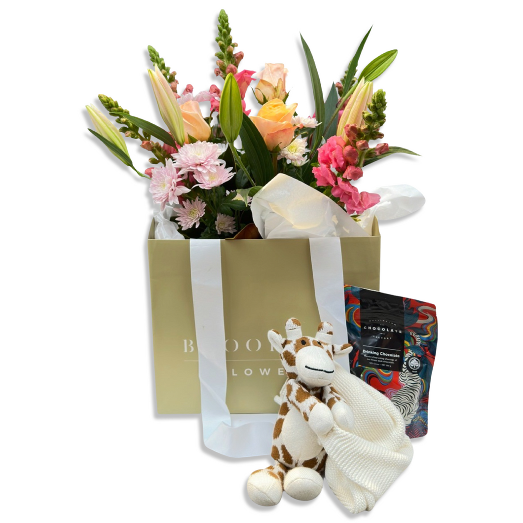 Welcome Baby Gift Package