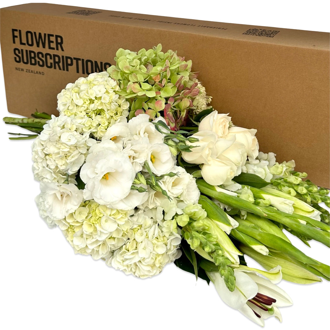 White & Green Subscription Blooms