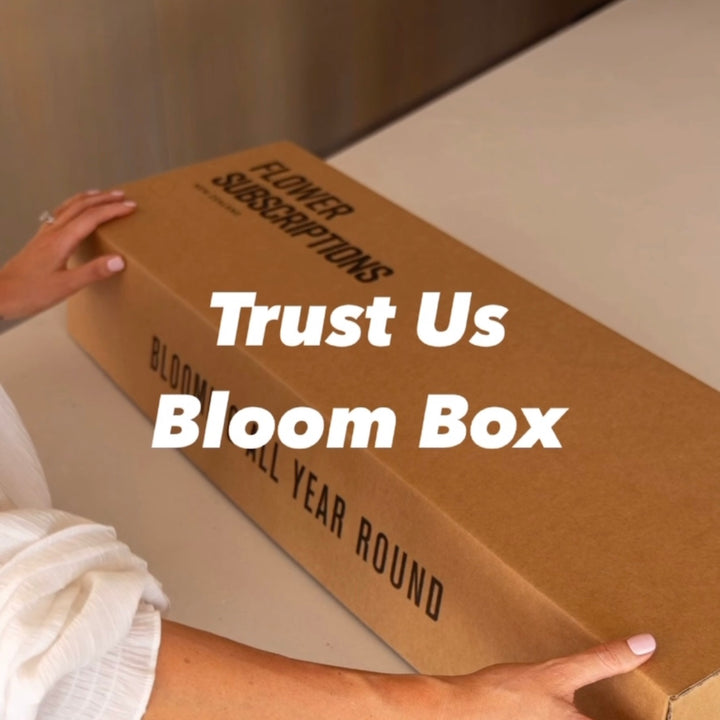 Trust Us Seasonal Subscription Box