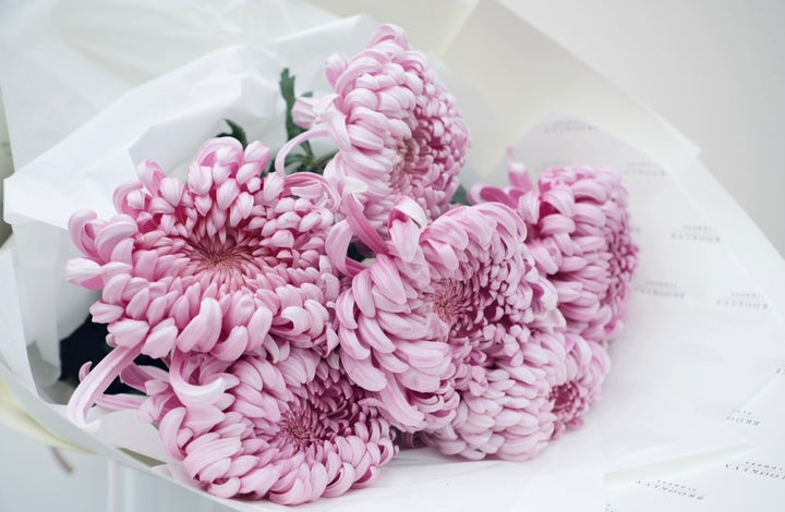 MUM'S FOR MUM - Brooklyn Flowers