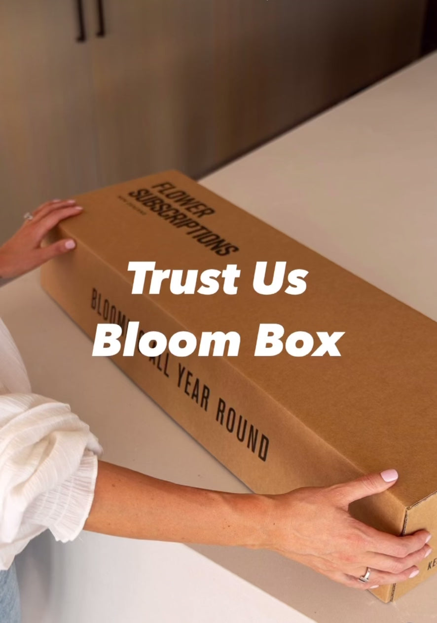 Trust Us Seasonal Subscription Box