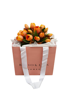 Tulip Posy Bag (+ vase) - Brooklyn Flowers